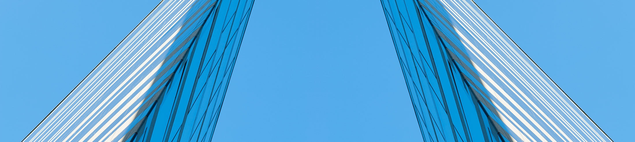 { Banner Image }